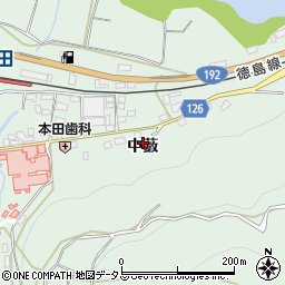徳島県つるぎ町（美馬郡）半田（中藪）周辺の地図