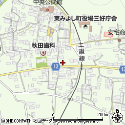 徳島県三好郡東みよし町昼間3173周辺の地図