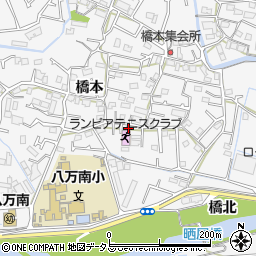 徳島県徳島市八万町橋本304-3周辺の地図