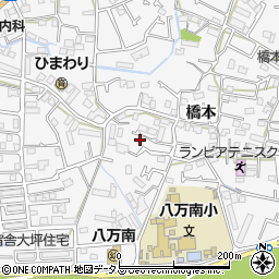徳島県徳島市八万町橋本75周辺の地図