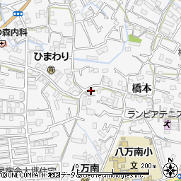 徳島県徳島市八万町橋本67周辺の地図