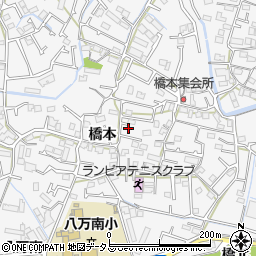 徳島県徳島市八万町橋本295周辺の地図