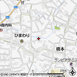 徳島県徳島市八万町橋本52周辺の地図
