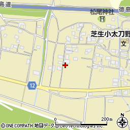 徳島県三好市三野町太刀野1063周辺の地図