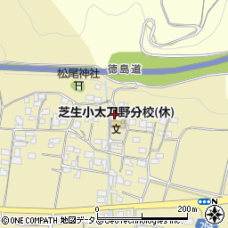 徳島県三好市三野町太刀野972周辺の地図