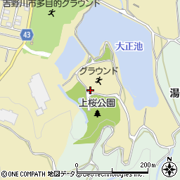 徳島県吉野川市川島町桑村596周辺の地図