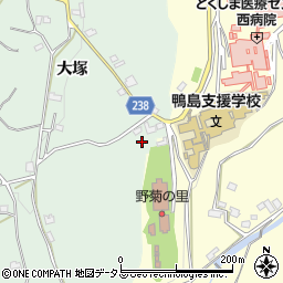 徳島県吉野川市川島町山田大塚54周辺の地図