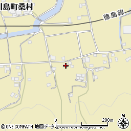 徳島県吉野川市川島町桑村1250周辺の地図