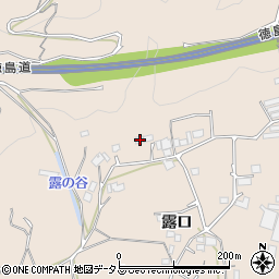 徳島県美馬市美馬町露口80周辺の地図