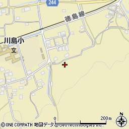 徳島県吉野川市川島町桑村1006周辺の地図