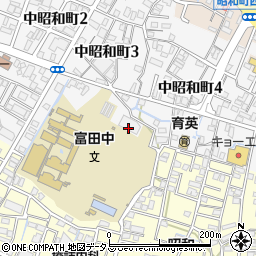 徳島市役所　教育委員会昭和公民館周辺の地図