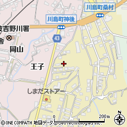 徳島県吉野川市川島町桑村316-1周辺の地図
