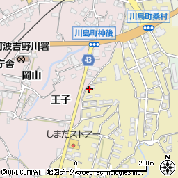 徳島県吉野川市川島町桑村313周辺の地図