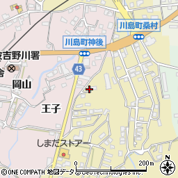 徳島県吉野川市川島町桑村312周辺の地図