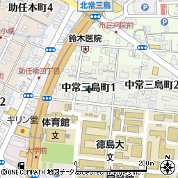〒770-0813 徳島県徳島市中常三島町の地図