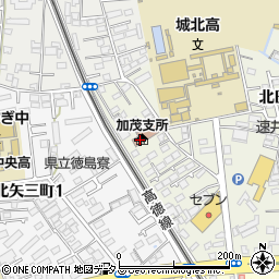 徳島市役所　教育委員会加茂公民館周辺の地図