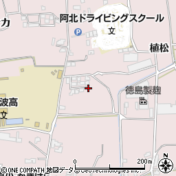 徳島県阿波市吉野町柿原植松173周辺の地図