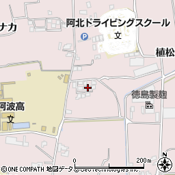 徳島県阿波市吉野町柿原植松176周辺の地図