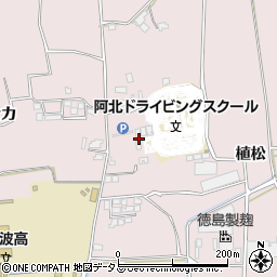 徳島県阿波市吉野町柿原植松203周辺の地図