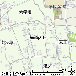 徳島県板野郡上板町七條横道ノ下周辺の地図