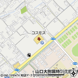 株式会社コスモス薬品　ディスカウントドラッグコスモス平川店周辺の地図