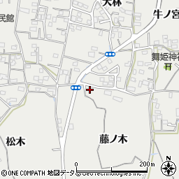 徳島県鳴門市大麻町板東藤ノ木56周辺の地図