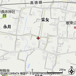 徳島県鳴門市大麻町板東采女100-3周辺の地図