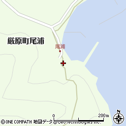 長崎県対馬市厳原町尾浦300周辺の地図