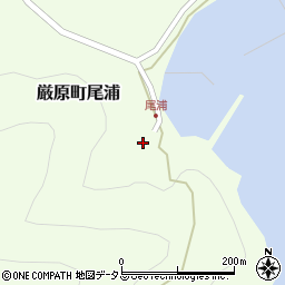 長崎県対馬市厳原町尾浦292周辺の地図