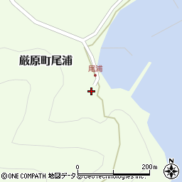 長崎県対馬市厳原町尾浦302周辺の地図