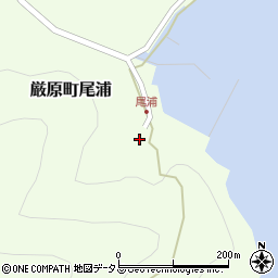 長崎県対馬市厳原町尾浦302周辺の地図