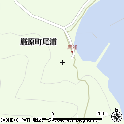 長崎県対馬市厳原町尾浦288周辺の地図