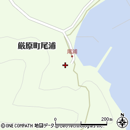 長崎県対馬市厳原町尾浦293周辺の地図