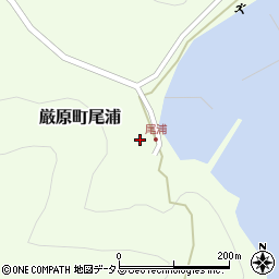 長崎県対馬市厳原町尾浦260周辺の地図