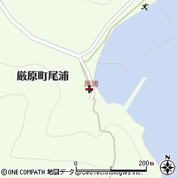 長崎県対馬市厳原町尾浦283周辺の地図