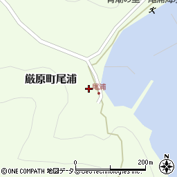 長崎県対馬市厳原町尾浦281周辺の地図