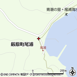 長崎県対馬市厳原町尾浦270周辺の地図