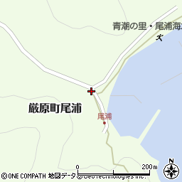 長崎県対馬市厳原町尾浦267周辺の地図