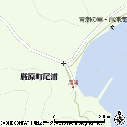 長崎県対馬市厳原町尾浦260-8周辺の地図