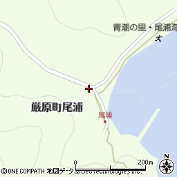 長崎県対馬市厳原町尾浦265周辺の地図