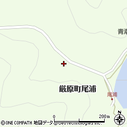 長崎県対馬市厳原町尾浦296周辺の地図
