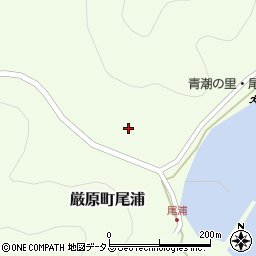 長崎県対馬市厳原町尾浦96周辺の地図