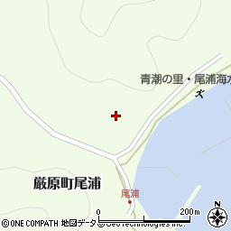 長崎県対馬市厳原町尾浦53周辺の地図