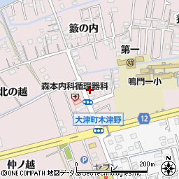 徳島県鳴門市大津町木津野内田2周辺の地図