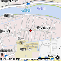 徳島県鳴門市大津町木津野養父の内36周辺の地図