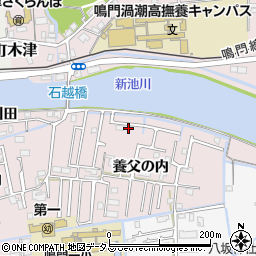 徳島県鳴門市大津町木津野養父の内44周辺の地図