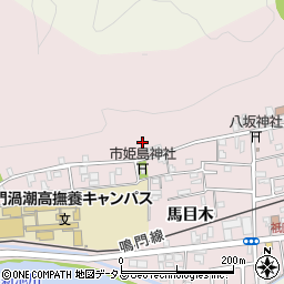 徳島県鳴門市撫養町南浜蛭子前西周辺の地図