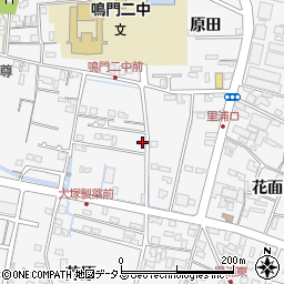 徳島県鳴門市撫養町立岩芥原43-1周辺の地図