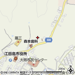 広島県江田島市大柿町大原481周辺の地図