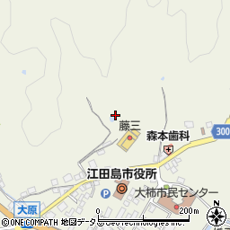 広島県江田島市大柿町大原252周辺の地図